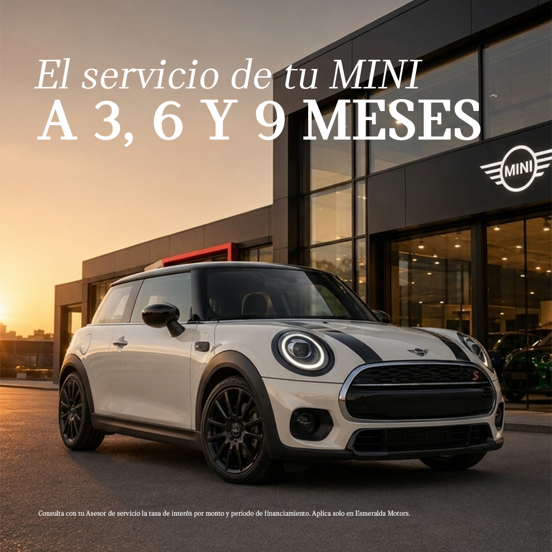 Servicio MINI a 3, 6 y 9 meses