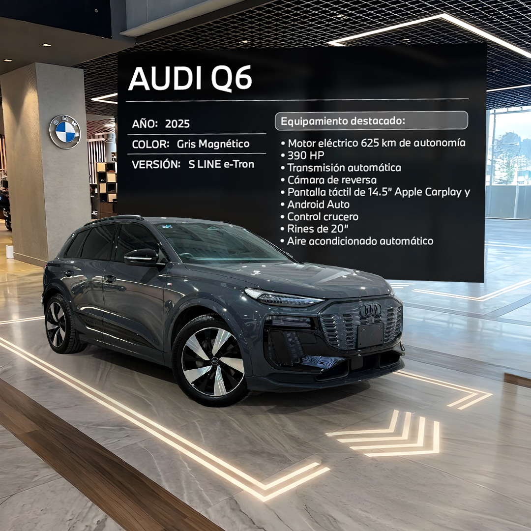 Audi Q6